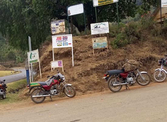 uganda/bwindi-impenetrable-national-park/attraction/kagorogoro-junction-stage-owamuhedi