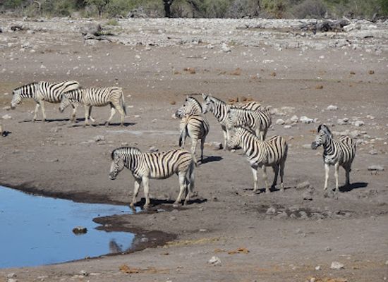 namibia/etosha-national-park/attraction/chudop-waterhole