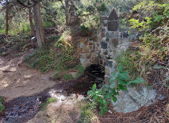 cyprus/troodos-national-forest-park/attraction/piyi-nero