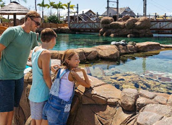australia/gold-coast/attraction/shark-bay