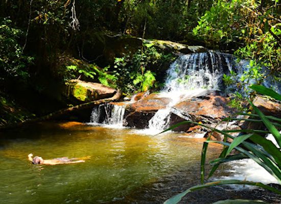madagascar/andasibe-mantadia-national-park/attraction/parc-national-andasibe-mantadia