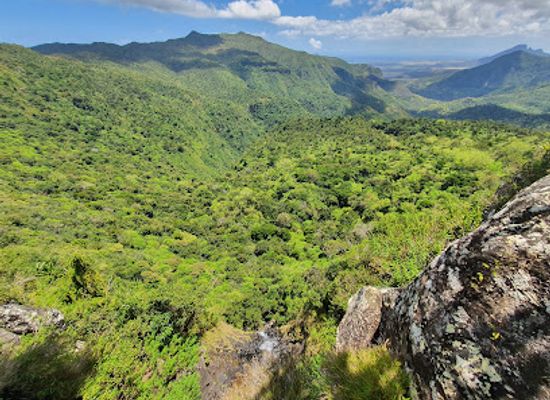 mauritius/black-river-gorges-national-park/attraction/gollum-trail