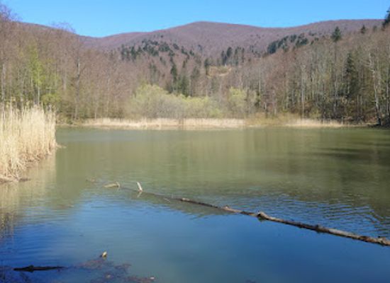 slovakia/poloniny-national-park/attraction/grofske-chyzky-pri-rybniku