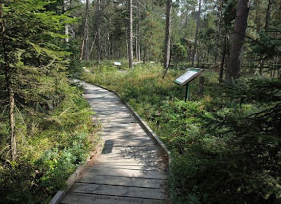 czechia/west-bohemia/attraction/podkovak-nature-reserve