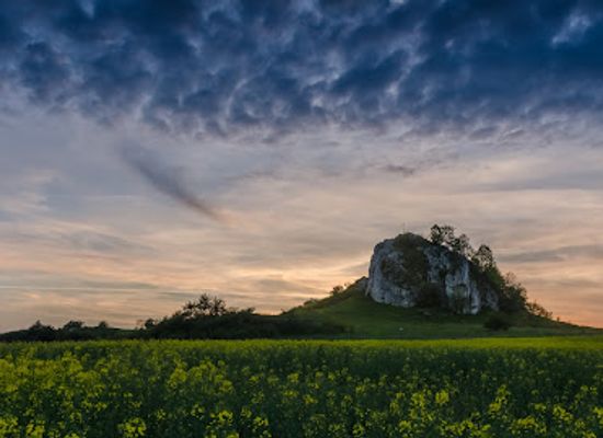 poland/silesia/attraction/bzow-skala-rzedowa