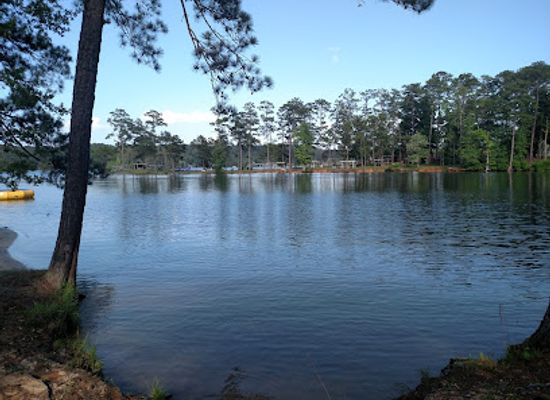 alabama/lake-martin/attraction/lake-martin-beach