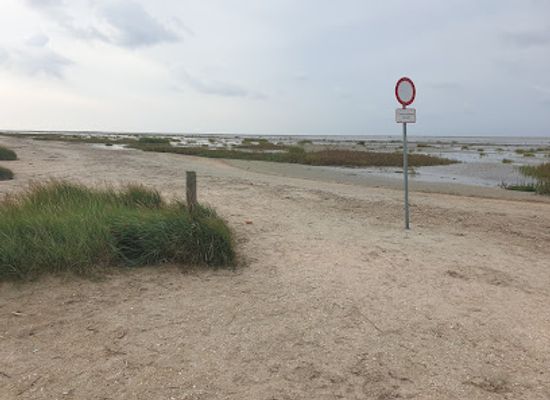 denmark/fano/attraction/seal-bank-walk-meeting-point
