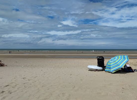 belgium/de-panne/attraction/nordseekuste-bei-westwind-und-sandsturm