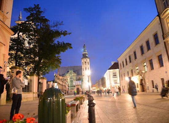 poland/krakow/attraction/museum-of-the-living-butterfly