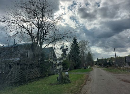 estonia/alutaguse/attraction/viivikonna-kummituslinn