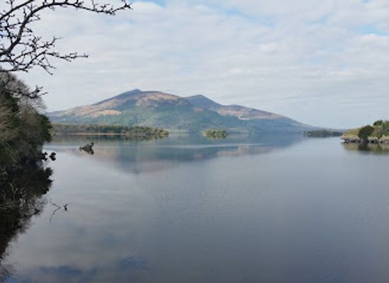 ireland/county-kerry/attraction/muckross-abbey