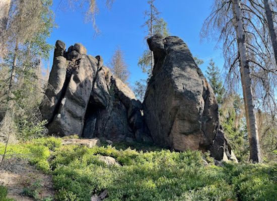 germany/harz-national-park/attraction/froschfelsen-hwn-5