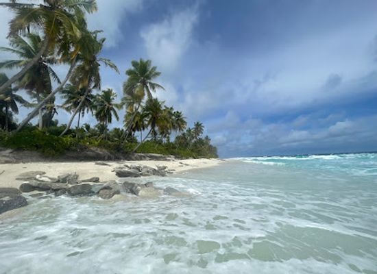 maldives/gnaviyani-atoll/attraction/extreme-dive-fuvahmulah
