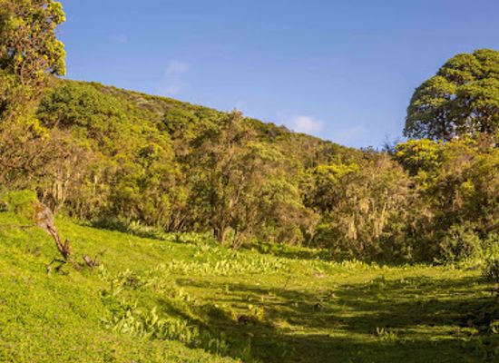 kenya/aberdare-national-park/attraction/7-ponds-aberdares-kenya