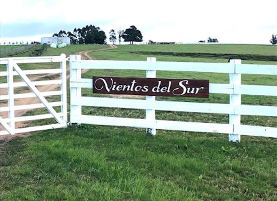 uruguay/jose-ignacio/attraction/vientos-del-sur