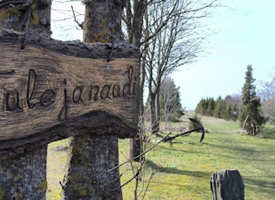 estonia/kuressaare/attraction/dendropark