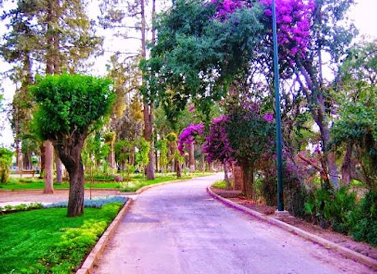 morocco/oujda/attraction/parc-lalla-aicha