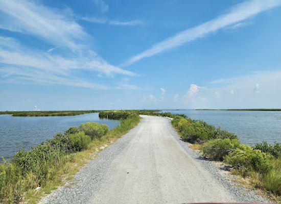louisiana/grand-isle/attraction/elmer-s-island-wildlife-refuge