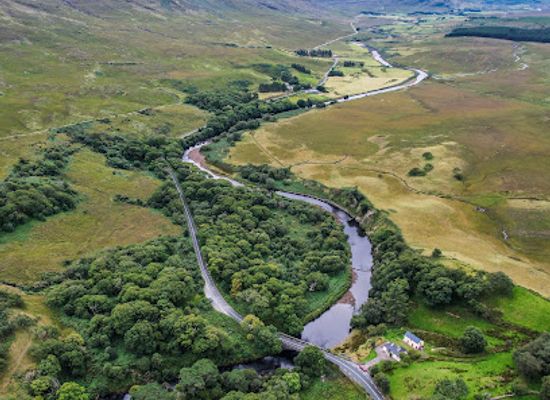 ireland/croagh-patrick/attraction/errif-woods
