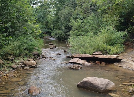 arkansas/arkansas-river-valley/attraction/buffalo-national-wild-scenic-river