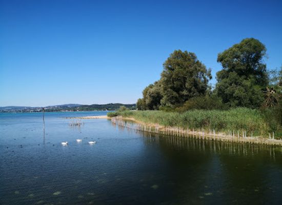 germany/lake-constance/attraction/pile-dwelling-museum