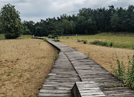 poland/kampinos-national-park/attraction/luzowa-gora