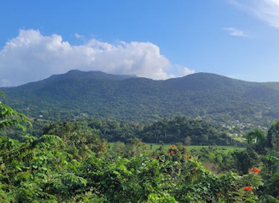 puerto-rico/luquillo/attraction/atv-riding-and-fun