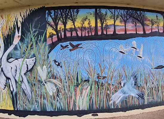 australia/darling-downs/attraction/goondiwindi-water-tank-art