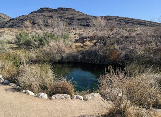 nevada/ash-meadows-national-wildlife-refuge/attraction/ash-meadows-board-walk