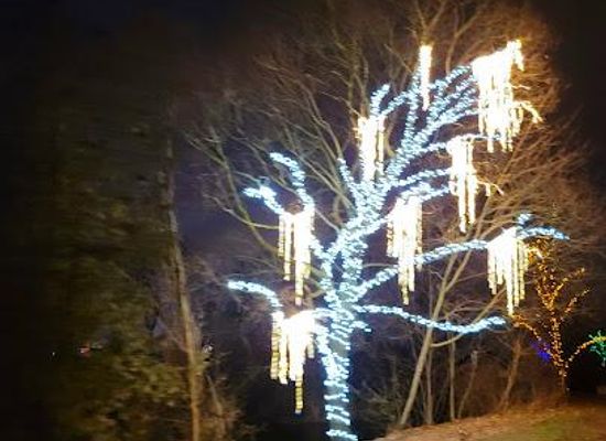 canada/niagara-falls/attraction/festival-of-light