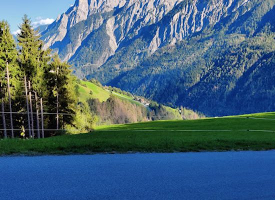 austria/east-tyrol/attraction/wildpark-assling