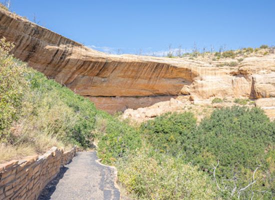 colorado/mesa-verde-national-park/attraction/step-house