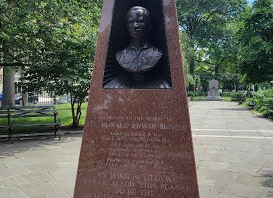 new-york/new-york-metropolitan-area/attraction/dr-ronald-mcnair-park