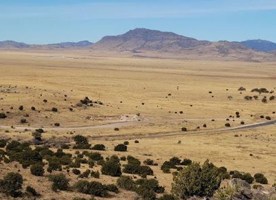 texas/davis-mountains-state-park/attraction/chihuahuan-desert-research-institute