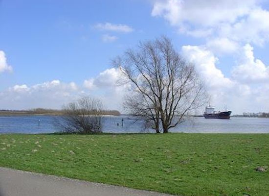 netherlands/rijnmond/attraction/jachthaven-rhoon