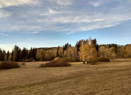 czechia/jizera-mountains/attraction/prirodni-rezervace-mala-strana