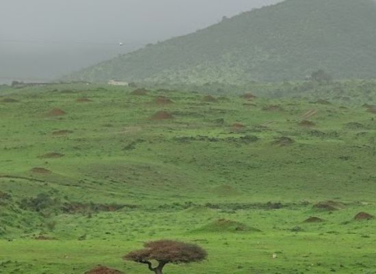 oman/salalah/attraction/jalset-khryf-awqd