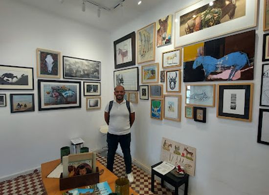 morocco/tangier/marshan/attraction/donkey-museum