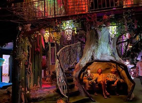 new-mexico/los-alamos/attraction/meow-wolf-santa-fe-s-house-of-eternal-return