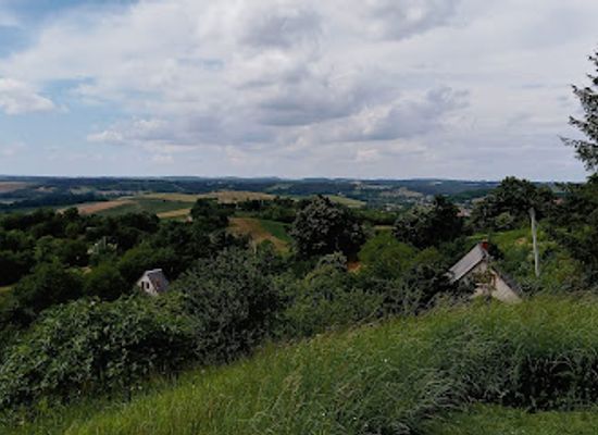 hungary/mecsek/attraction/lavender-hill-mecsek