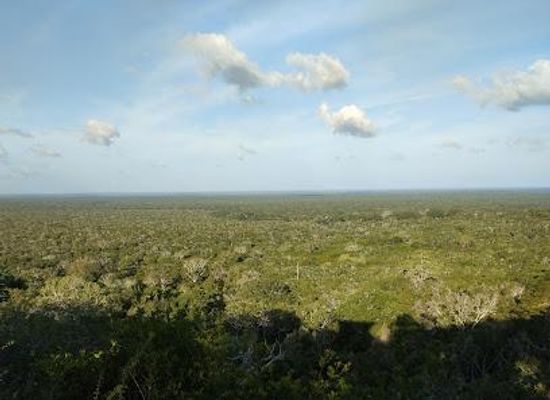kenya/malindi/attraction/arabuko-sokoke-forest-kfs-gede-gate-main-gate