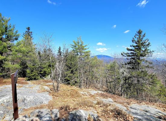 new-hampshire/monadnock-region/attraction/rhododendron-state-park