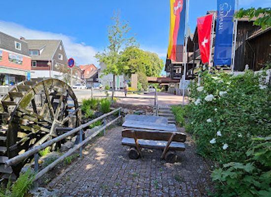 germany/harz-mountains/attraction/wassermuhle-monument