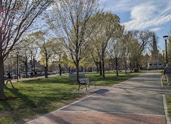 massachusetts/brockton/attraction/cambridge-common