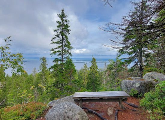 finland/koli-national-park/attraction/eero-jarnefelt-relief