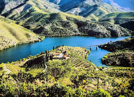 portugal/douro-valley/attraction/burmester