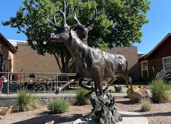 wyoming/laramie-plains/attraction/wyoming-pioneer-memorial-museum