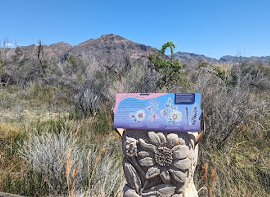nevada/ash-meadows-national-wildlife-refuge/attraction/point-of-rock-springs-trailhead