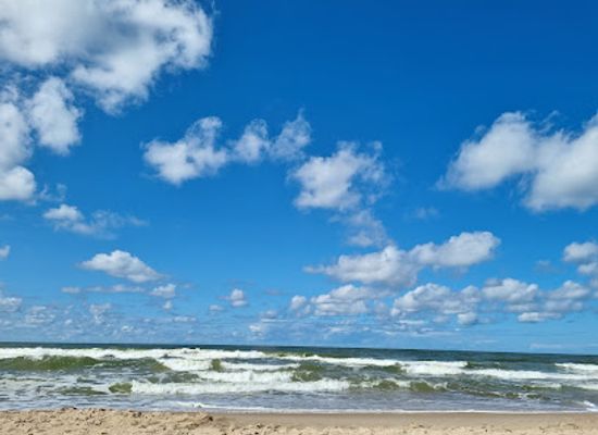 lithuania/palanga-beach/attraction/palangos-papludimys