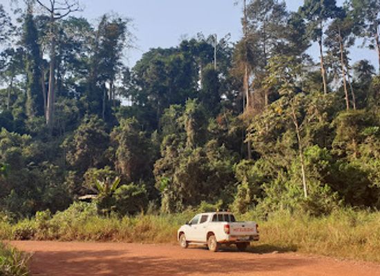 ghana/brong-ahafo/attraction/krokosue-forest-reserve